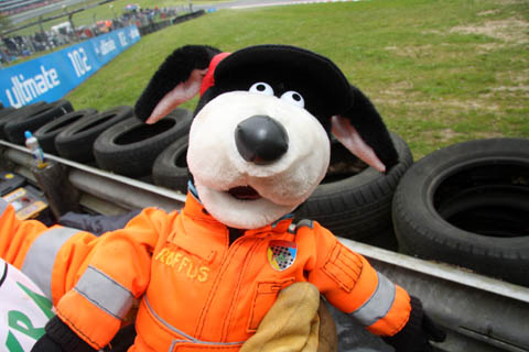 ruffus_one_and_only